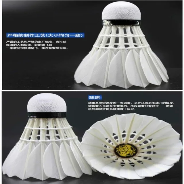 网坛新星阿卡复出备战新赛季
